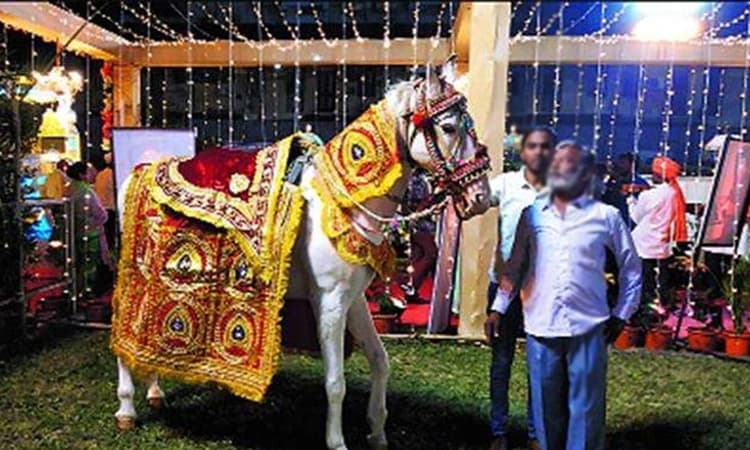 ದಲಿತನೆಂಬ ಕಾರಣಕ್ಕೆ ಕುದುರೆಯಿಂದ ಕೆಳಗಿಳಿಸಿ ಅವಮಾನ