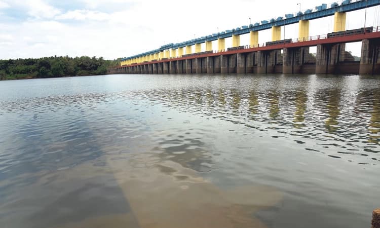 ಕುಡಿಯುವ ನೀರಿಗೆ ತತ್ವಾರ: ತುಂಬೆಯಲ್ಲಿ ನೀರಿನ ಮಟ್ಟ 4.03 ಮೀ.ಗೆ ಇಳಿಕೆ