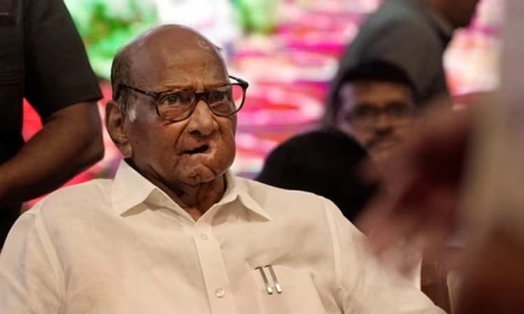 ರಾಜೀನಾಮೆ ನಿರ್ಧಾರದಿಂದ ಹಿಂದೆ ಸರಿದ ಶರದ್ ಪವಾರ್: ಎನ್‌ಸಿಪಿ ಅಧ್ಯಕ್ಷರಾಗಿ ಮುಂದುವರಿಕೆ