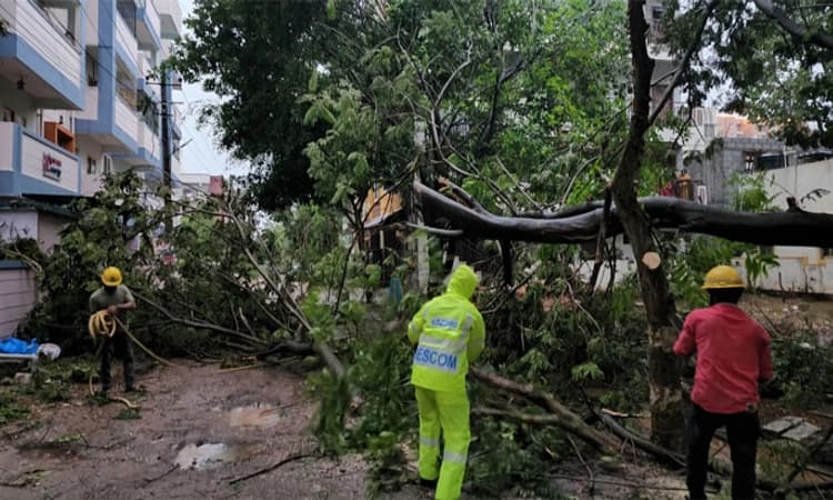 ಬೆಂಗಳೂರು: ನಗರದಲ್ಲಿ ಧಾರಾಕಾರ ಮಳೆ ; ಮರಗಳು ಧರೆಗೆ ; ವಿದ್ಯುತ್ ವ್ಯತ್ಯಯ