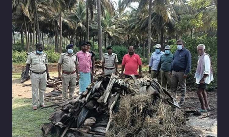 ಆಹಾರ ಸಿಗದೇ ಚಿರತೆ ಸಾವು