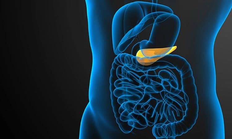 ಆರೋಗ್ಯಯುತ ಪಿತ್ತಕೋಶಕ್ಕಾಗಿ ಆರೋಗ್ಯಕರ ಜೀವನ ಶೈಲಿ
