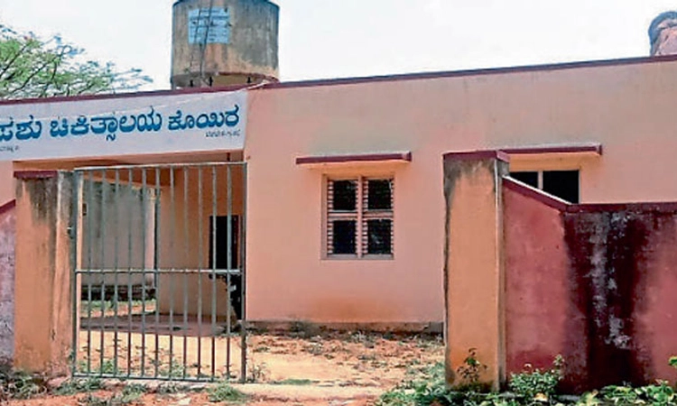ಕೊಯಿರ ಪಶು ಚಿಕಿತ್ಸಾಲಯ ವೈದ್ಯರನ್ನು ನೇಮಿಸಿ