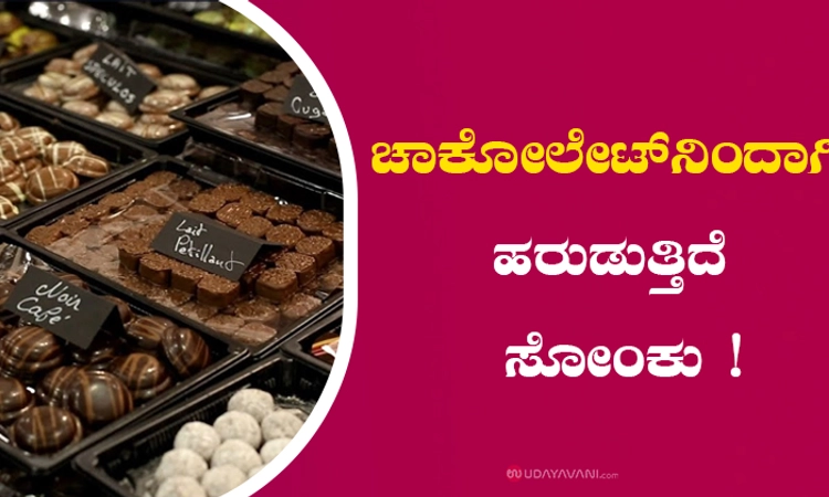ಚಾಕೋಲೇಟ್‌ನಿಂದಾಗಿ ಹರುಡುತ್ತಿದೆ ಸೋಂಕು!