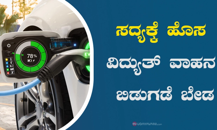 ಸದ್ಯಕ್ಕೆ ಹೊಸ ವಿದ್ಯುತ್‌ ವಾಹನ ಬಿಡುಗಡೆ ಬೇಡ