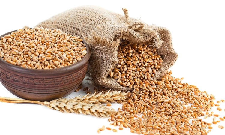 ಪುತ್ತೂರು: ಆಹಾರ ಧಾನ್ಯ ಬೆಳೆ ಉತ್ಪಾದನೆಯಲ್ಲಿ ಕುಸಿತ