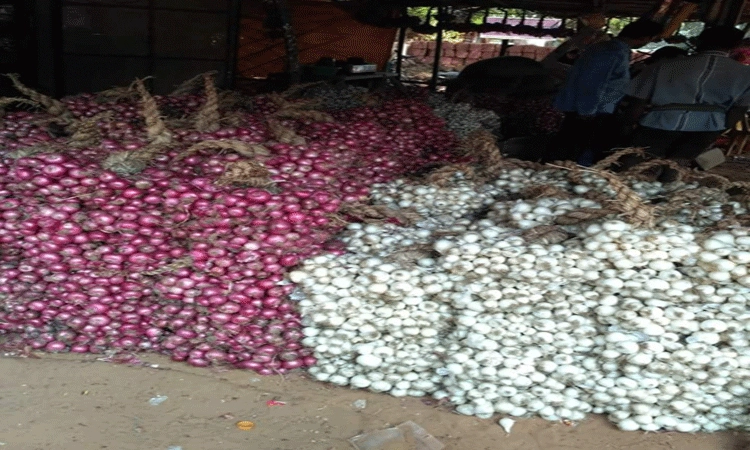ಅಳ್ವೆಕೋಡಿ ಸಿಹಿ ಈರುಳ್ಳಿಗೆ ಬಹುಬೇಡಿಕೆ