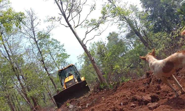 ಸೊಪ್ಪಿನಬೆಟ್ಟದಲ್ಲಿ ರಸ್ತೆ ನಿರ್ಮಾಣಕ್ಕೆ ತೀವ್ರ ವಿರೋಧ