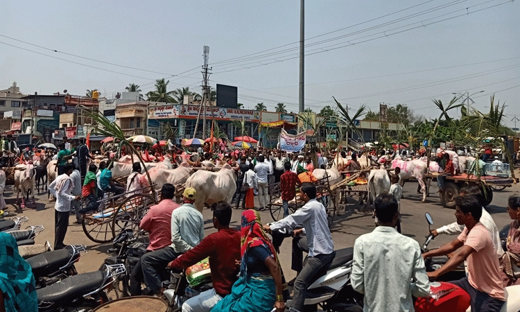 ತಾಲೂಕು ಹೋರಾಟ: ಎತ್ತಿನಗಾಡಿಗಳ ರ್ಯಾಲಿ