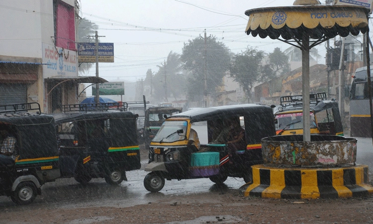 ಭಾರೀ ಮಳೆ-ಗಾಳಿ: ಧರೆಗುರುಳಿದ ಮರ-ವಿದ್ಯುತ್‌ ಕಂಬ