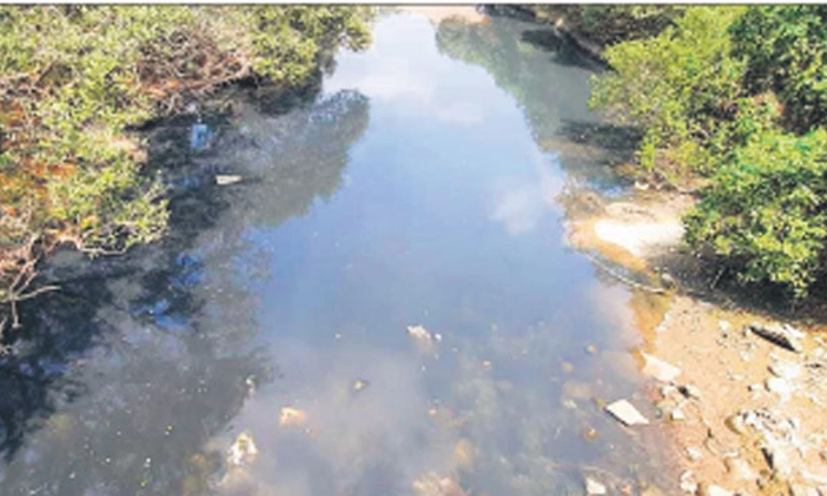 ತೋಕೂರು ಹಳ್ಳದಲ್ಲಿ ಮತ್ತೆ ಮಲಿನ ನೀರು ಸಂಗ್ರಹ