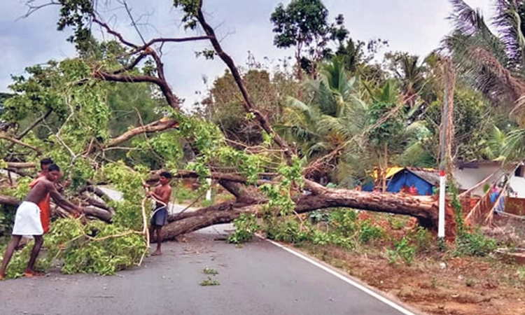 ಉಡುಪಿ: ಗಾಳಿ ಮಳೆ, ಕೆಲವೆಡೆ ಹಾನಿ; ಸಿಡಿಲು ಬಡಿದು ಯುವಕರಿಬ್ಬರು ಸಾವು