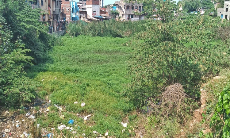ನಾಲ್ಕು ಕೆರೆ ಅಭಿವೃದ್ಧಿಗೆ ಹುಡಾ ಮುಂದಡಿ