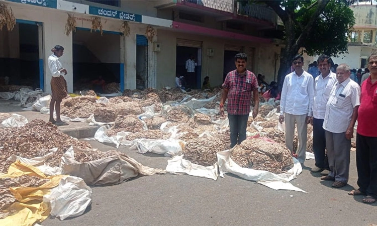 ಕೊರಟಗೆರೆ: ದಕ್ಷಿಣ ಕನ್ನಡ ಜಿಲ್ಲೆಗೆ ತೋವಿನಕೆರೆ ಹುಣಸೆ