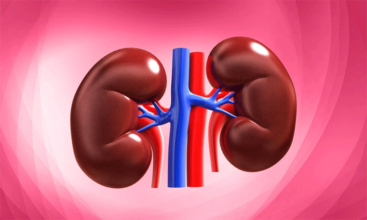 ಕಿಮ್ಸ್‌ ನಲ್ಲಿ ನಡೆದ ಮೊದಲ ಮೂತ್ರಪಿಂಡ ಕಸಿ ಯಶಸ್ವಿ