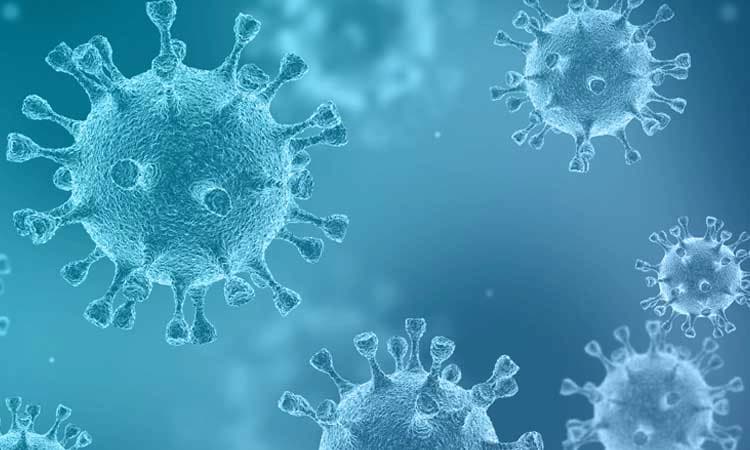 ಮುಂಬಯಿ: ಕೋವಿಡ್‌ ಪ್ರಕರಣಗಳ ಸಂಖ್ಯೆ ಹೆಚ್ಚಳ