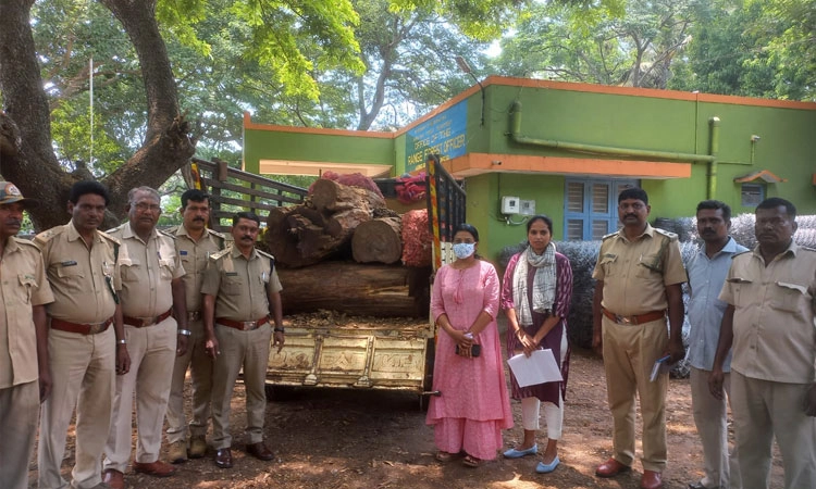 ಶುಂಠಿಯೊಳಗೆ ಲಕ್ಷಾಂತರ ರೂ. ಬೆಲೆ ಬಾಳುವ ಬೀಟೆ ನಾಟ ಸಾಗಾಟ