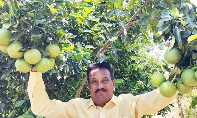 ಮೂಸಂಬಿ ಕೃಷಿಯಲ್ಲಿ ಯಶಸ್ಸು ಕಂಡ ಕುಷ್ಟಗಿಯ ಪ್ರಗತಿಪರ ರೈತ : ವಿದೇಶಕ್ಕೂ ರಫ್ತಾಗುತ್ತಿದೆಯಂತೆ