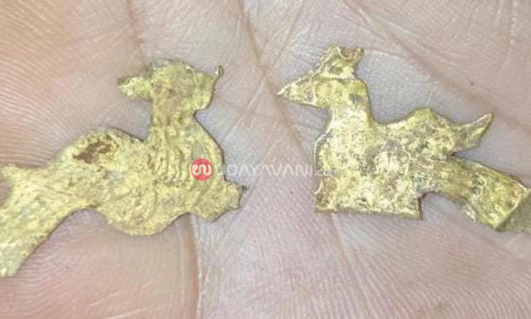 ತೋಕೂರು : 800 ವರ್ಷಗಳ ಇತಿಹಾಸವಿರುವ ದೇವಳದ ಗರ್ಭ ಗುಡಿಯಲ್ಲಿ ಚಿನ್ನದ ಜೋಡಿ ಮಯೂರ ಪತ್ತೆ