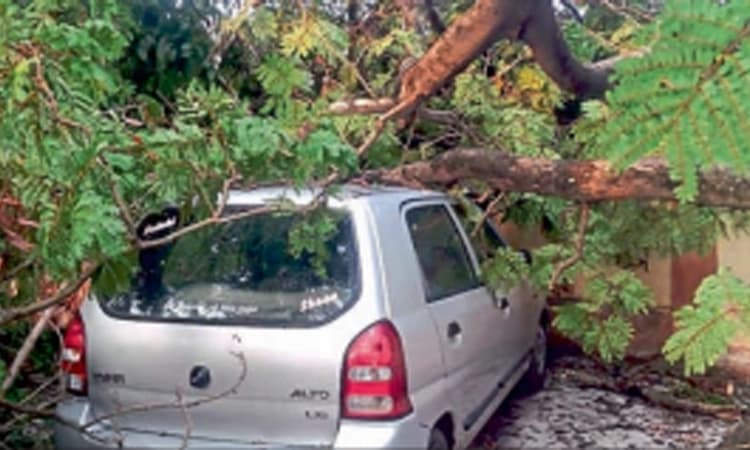 ಭಾರೀ ಗಾಳಿ-ಮಳೆಗೆ ದೇವನಗರಿ ಜನ ತತ್ತರ
