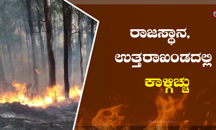 ರಾಜಸ್ಥಾನ, ಉತ್ತರಾಖಂಡದಲ್ಲಿ ಕಾಳ್ಗಿಚ್ಚು