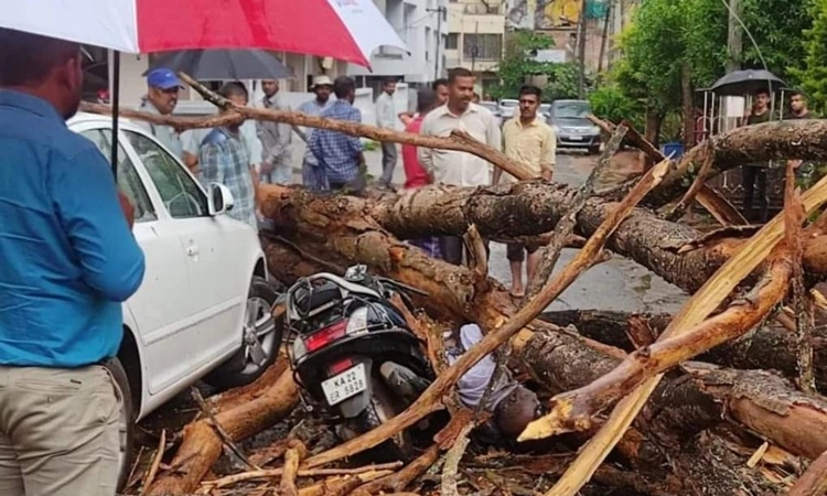 ಬೆಳಗಾವಿಯಲ್ಲಿ ಗಾಳಿ-ಮಳೆ ಅಬ್ಬರ : ಮರ ಬಿದ್ದು ಬೈಕ್ ನಲ್ಲಿ ತೆರಳುತ್ತಿದ್ದ ವ್ಯಕ್ತಿ ಸಾವು
