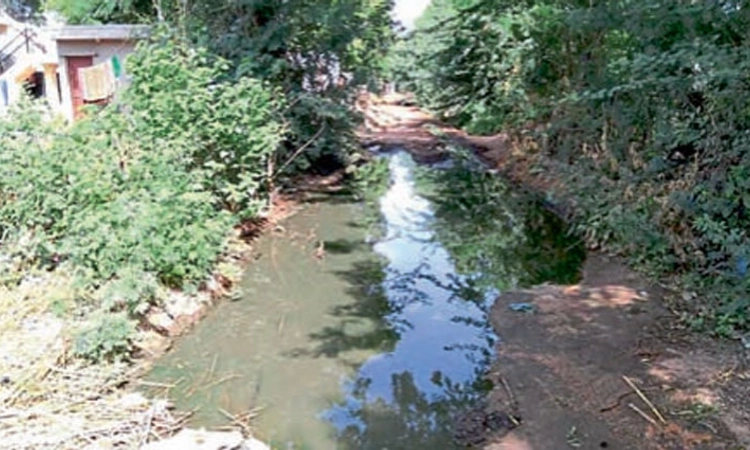 ಬೊಮ್ಮನಹಳ್ಳಿಯಲ್ಲಿ ಸಮಸ್ಯೆಗಳ ಭಾರ