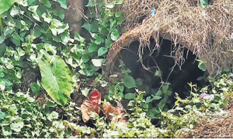 ಪಂಜ ಪೇಟೆಯಲ್ಲಿ ಆಗಬೇಕಿದೆ ಚರಂಡಿ ದುರಸ್ತಿ