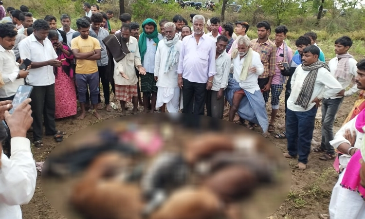 ವಿಜಯಪುರ : ಸಿಡಿಲು ಬಡಿದು ಇಬ್ಬರು ಕುರಿಗಾರರು, 9 ಕುರಿಗಳ ಸಾವು