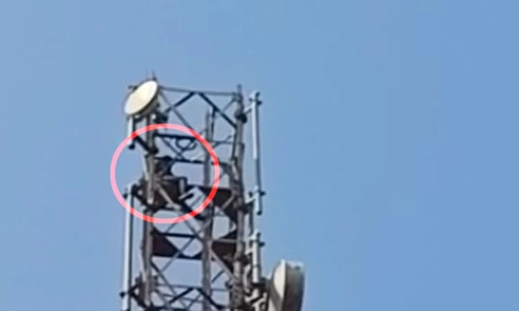 ಪ್ರೇಮಿಗಳಲ್ಲಿ ಮನಸ್ತಾಪ: ಮಂಗಳೂರಿನಲ್ಲಿ ಮೊಬೈಲ್ ಟವರ್ ಏರಿ ಕುಳಿತ ಯುವಕ !