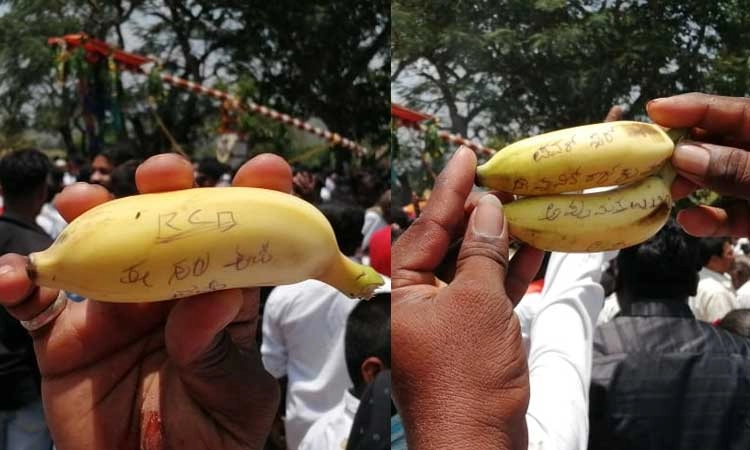 ಅಪ್ಪು ಮತ್ತೆ ಹುಟ್ಟಿ ಬರಲಿ, RCB ಕಪ್ ಗೆಲ್ಲಲಿ: ಸಿಡಿ ಮಹೋತ್ಸವದಲ್ಲಿ ಅಭಿಮಾನಿಗಳ ಬೇಡಿಕೆ