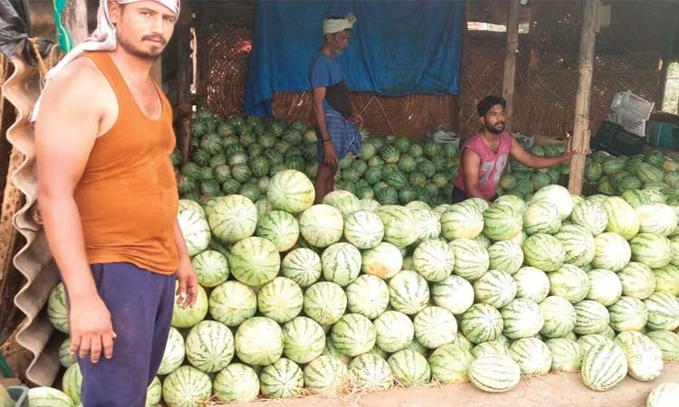 ಬಿಸಿಲಿನ ಬೇಗೆಗೆ ತಂಪೆರೆವ ಕಲ್ಲಂಗಡಿ
