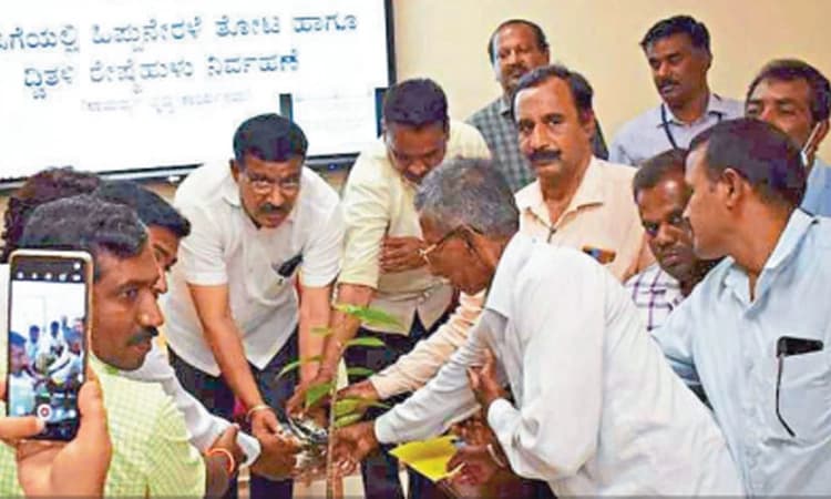 ರೇಷ್ಮೆ ಕೃಷಿಯಲ್ಲಿ ನಷ್ಟ ತಪ್ಪಿಸಲು ತರಬೇತಿ ಅಗತ್ಯ