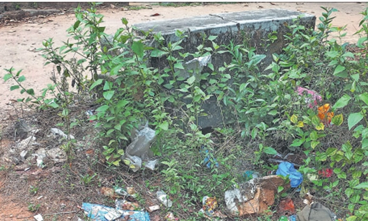 ಚರಂಡಿಗಳಿಗೆ ಬೇಕಿದೆ ಕಾಯಕಲ್ಪ