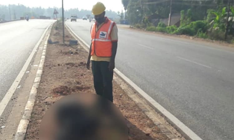 ಉತ್ತರ ಕನ್ನಡ ಹೆದ್ದಾರಿ ಅಪಘಾತದಲ್ಲಿ 5000ಕ್ಕೂ ಹೆಚ್ಚು ಜಾನುವಾರುಗಳ ಸಾವು