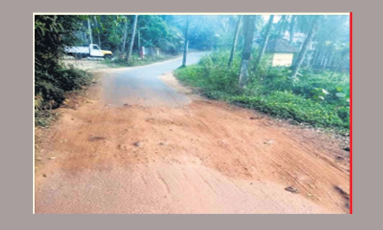 ತಾರಿಗುಡ್ಡೆ ರಸ್ತೆ ಸಮಸ್ಯೆ ಸರಿಪಡಿಸಿ