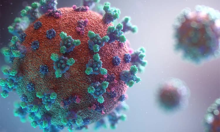 ಉಡುಪಿ ಜಿಲ್ಲೆ: ಕೋವಿಡ್‌ ಸೋಂಕು, ಸಕ್ರಿಯ ಶೂನ್ಯ