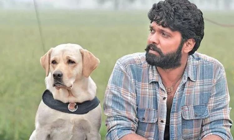 ರಕ್ಷಿತ್ ಶೆಟ್ಟಿ ಅಭಿನಯದ ‘777 ಚಾರ್ಲಿ’ ಚಿತ್ರದ ರಿಲೀಸ್ ದಿನಾಂಕ ಘೋಷಣೆ