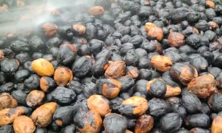 ತೆಂಗಿನಕಾಯಿ ಗೋದಾಮಿಗೆ ಕಿಡಿಗೇಡಿಗಳಿಂದ ಬೆಂಕಿ: ಲಕ್ಷಾಂತ ರೂ. ನಷ್ಟ
