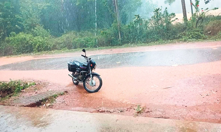 ಕರಾವಳಿಯ ವಿವಿಧೆಡೆ ಉತ್ತಮ ಮಳೆ, ಹಲವೆಡೆ ಹಾನಿ