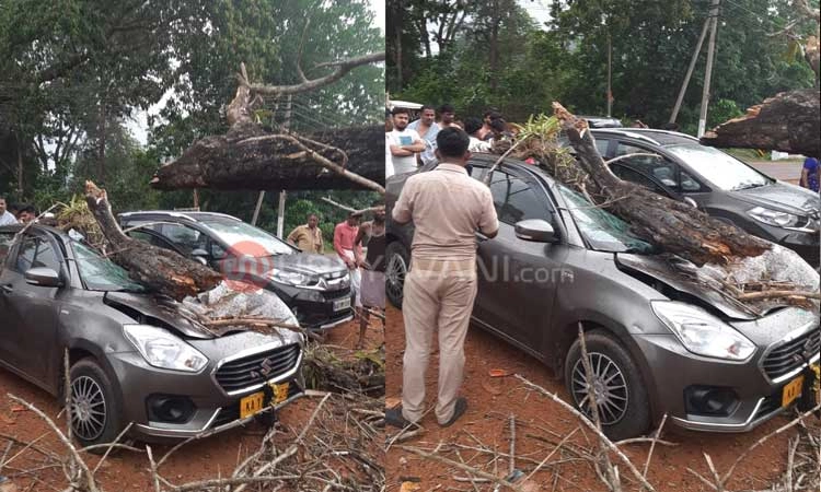 ಸುಬ್ರಹ್ಮಣ್ಯ: ಮರದ ರೆಂಬೆ ಮುರಿದು ಬಿದ್ದು ಕಾರು ಸಂಪೂರ್ಣ ಜಖಂ