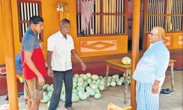 ಪ್ರತಿಕೂಲ ಪರಿಸ್ಥಿತಿಯಲ್ಲೂ ಕೃಷಿಕನ ಮೊಗದಲ್ಲಿ ಕಿಲಕಿಲ