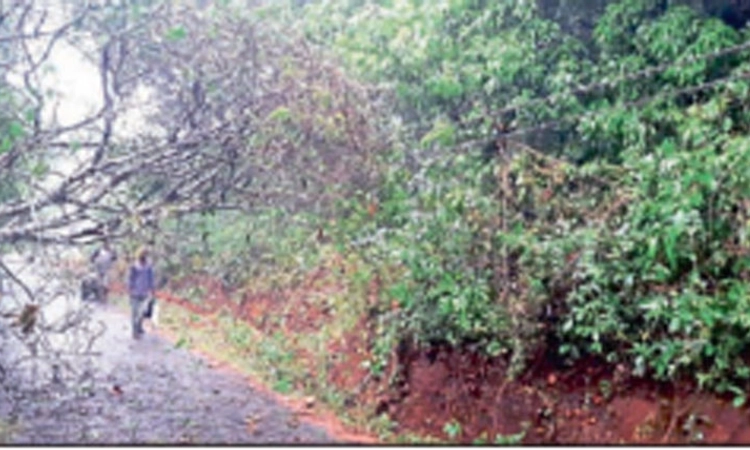 ಗುಡುಗು ಸಹಿತ ಧಾರಾಕಾರ ಮಳೆ