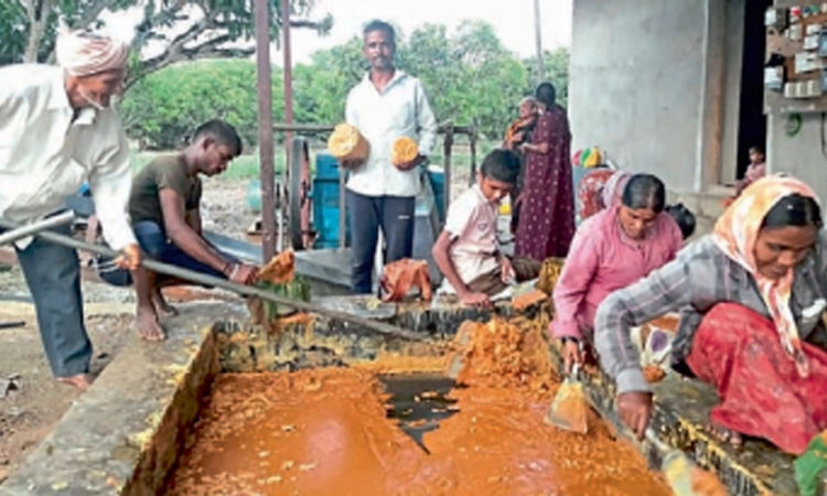 ಸಕ್ಕರೆ ಸಂಘರ್ಷದಲ್ಲಿ ಅಕ್ಕರೆಯ ಸಾವಯವ ಬೆಲ್ಲ; ಯುವ ರೈತರಿಗೆ ಕೈಗನ್ನಡಿ