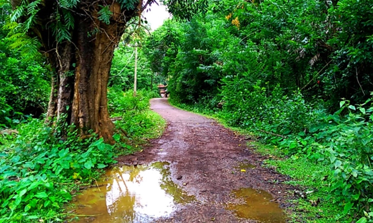 ಬಾಲ್ಯದ ಕೌತುಕ…ನಡೆದ ಹಾದಿ ತರುವ ನೆನಪುಗಳ ಮೆರವಣಿಗೆ