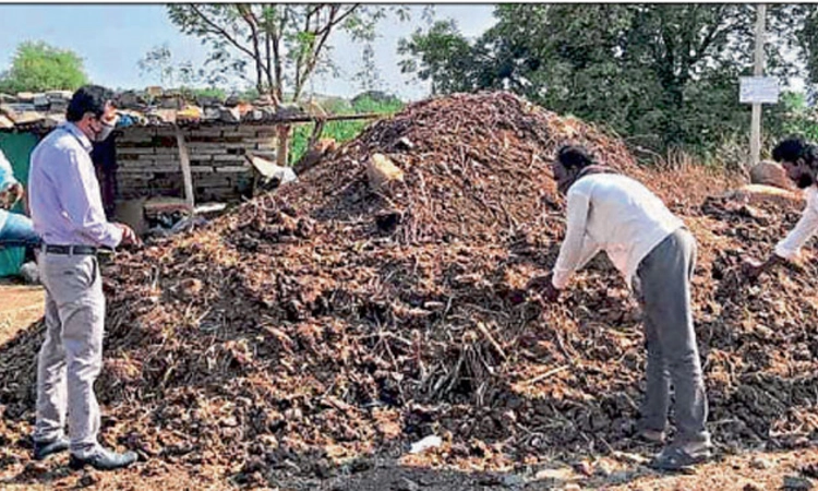 ತೊಗರಿ ಕಟ್ಟಿಗೆ ಮರು ಬಳಕೆಯಿಂದ ಲಾಭ