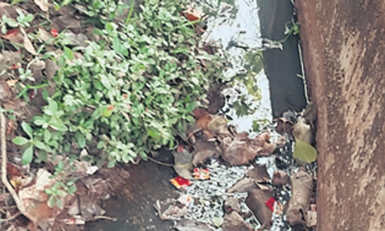 ಬೆಳ್ಳಾರೆ: ಚರಂಡಿ ಸಮಸ್ಯೆ ನಿವಾರಣೆಯಾಗಲಿ