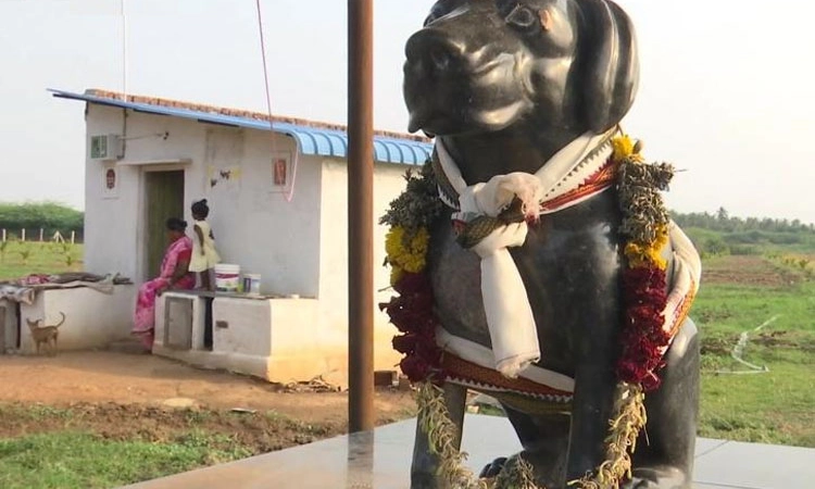 ಪ್ರೀತಿಯ ನಾಯಿಯ ನೆನಪಿಗಾಗಿ ದೇವಸ್ಥಾನ!