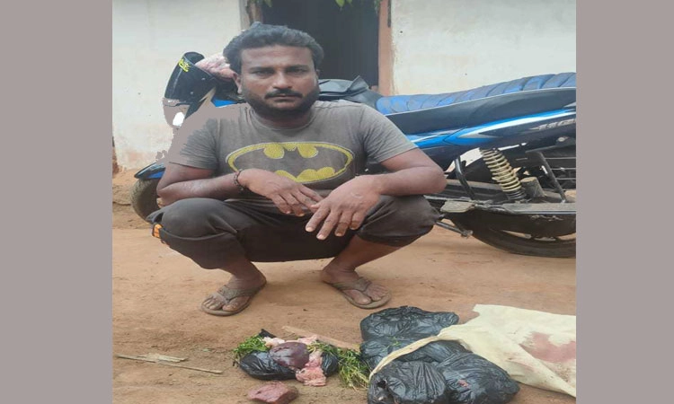ಅಕ್ರಮ ಗೋಮಾಂಸ ವಶ: ವ್ಯಕ್ತಿ ಸೆರೆ