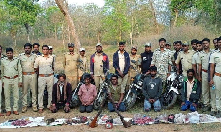 ನಾಗರಹೊಳೆ ಉದ್ಯಾನವನದಲ್ಲಿ ಕಾಡುಪ್ರಾಣಿ ಬೇಟೆ : ಐವರ ಬಂಧನ, ಏಳುಮಂದಿ ಪರಾರಿ